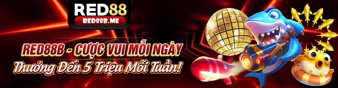 Tổng quan nền tảng Bong99 Đăng Nhập 2026 uy tín
